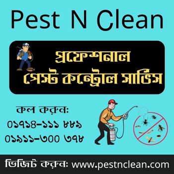 Pest N Clean